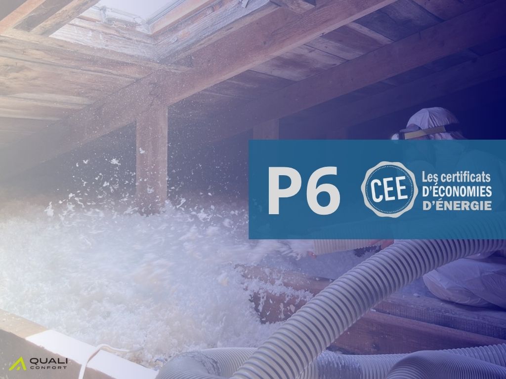 P6 CEE